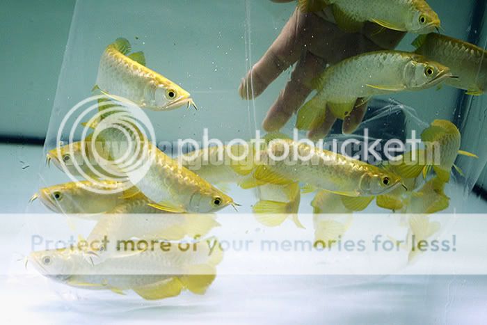 PL_329012copy.jpg