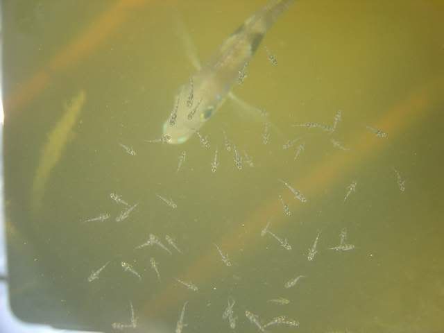 DSC06428.jpg