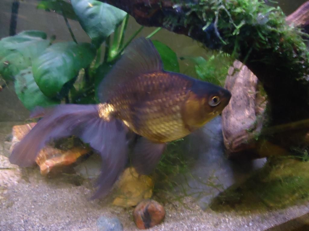 DSC08790.jpg