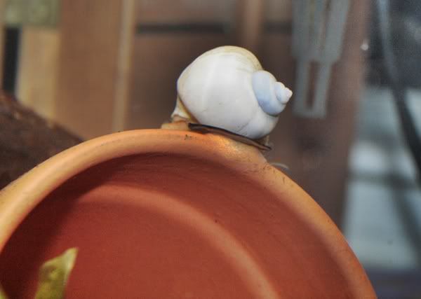 _MG_5949.jpg