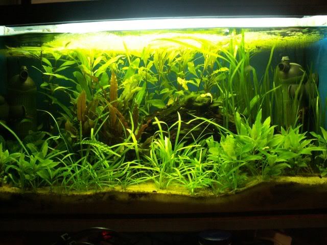 becken025.jpg