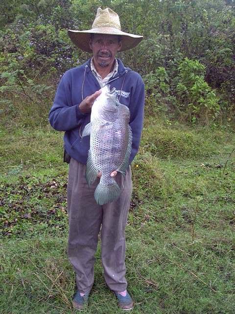 14poundlakeapanas.jpg