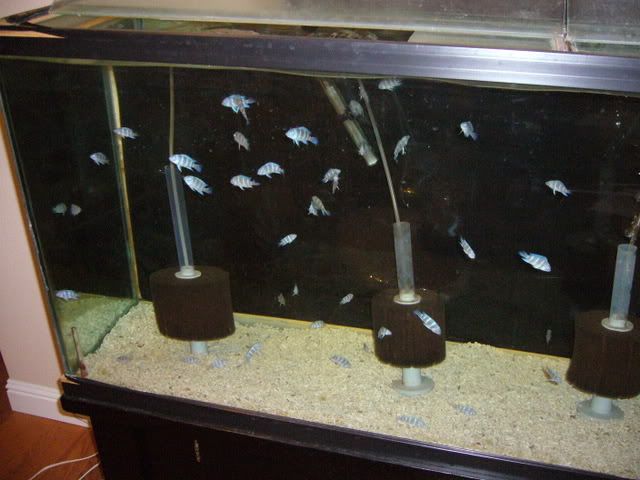 P1000894-1.jpg