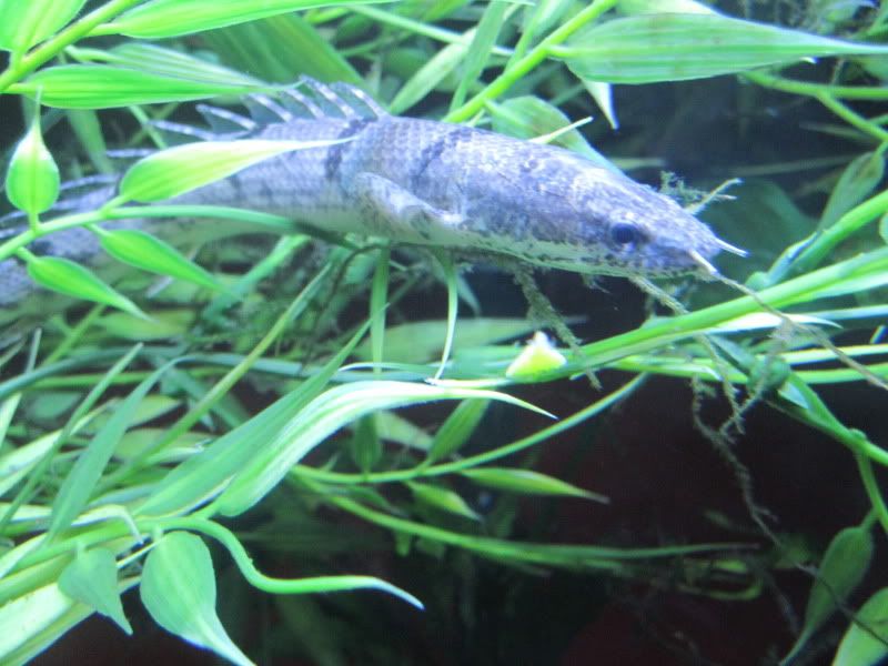 IMG_4628.jpg