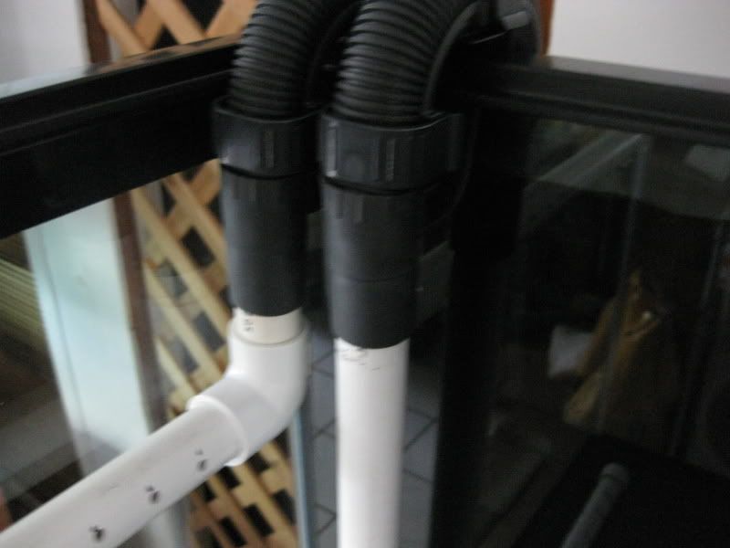 3-17-09032.jpg