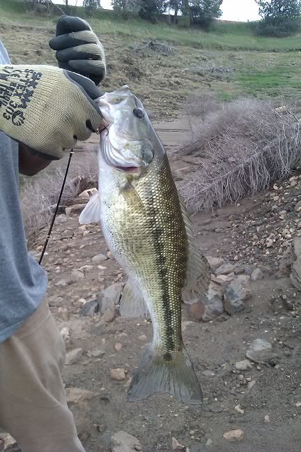 IMAG0654.jpg