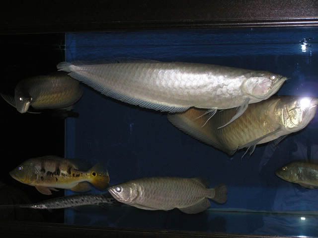 P4190092.jpg