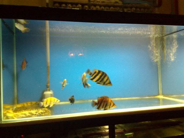 070120081336.jpg