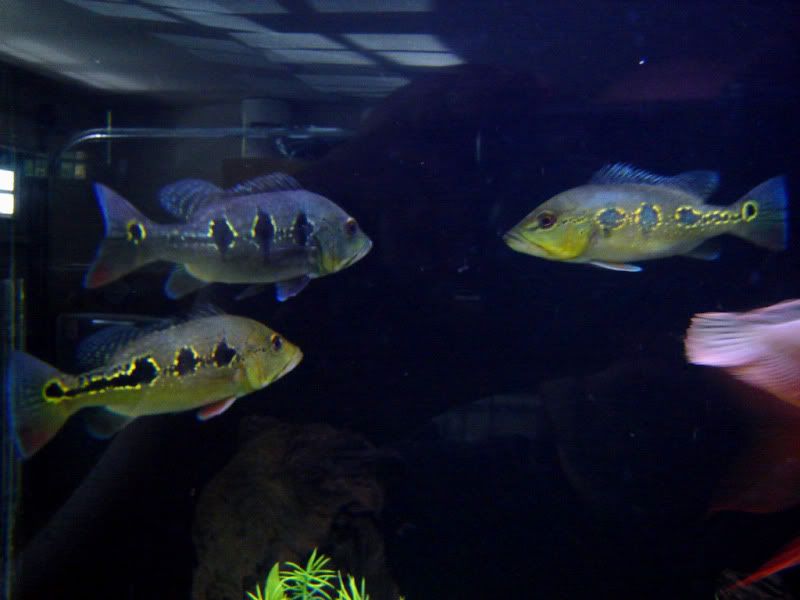DSC07442.jpg