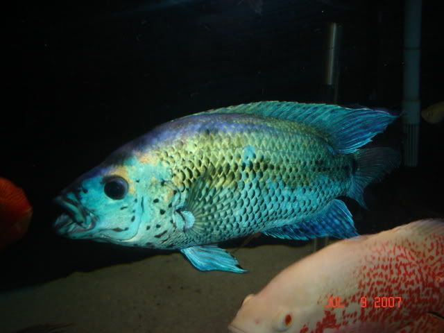 DSC06013.jpg