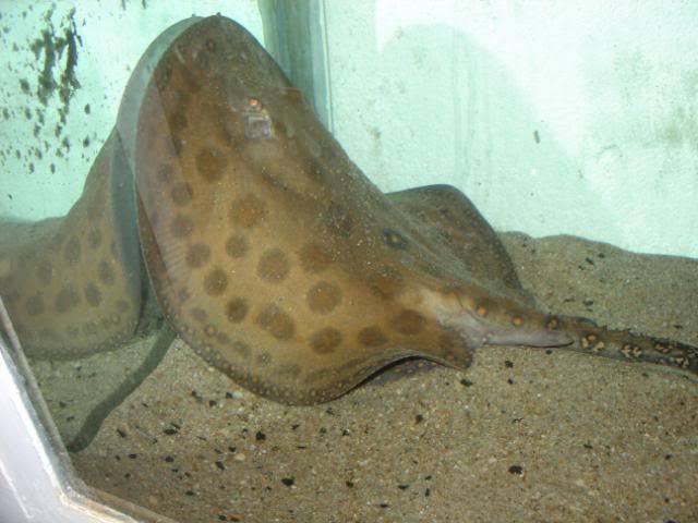DSC08417.jpg