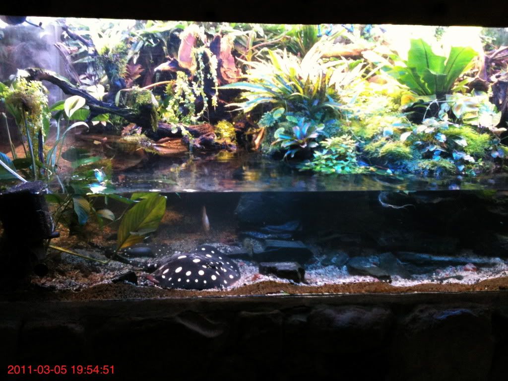 3-3-111.jpg