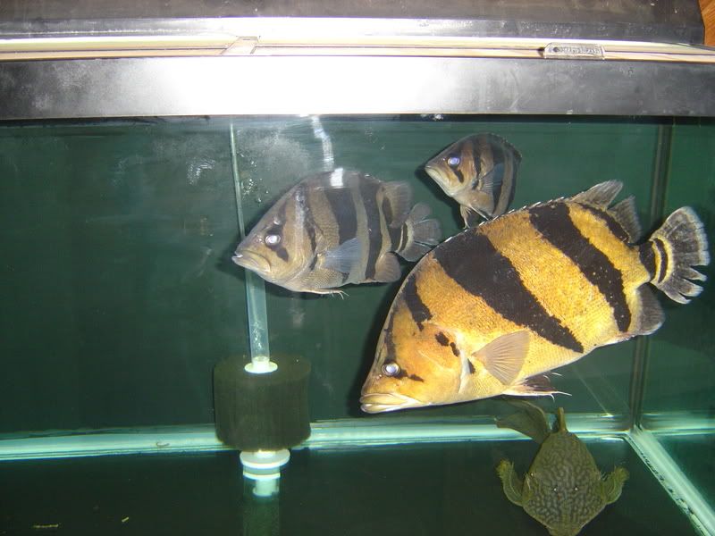 11-2-08033.jpg