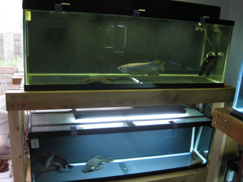11-7-09034.jpg