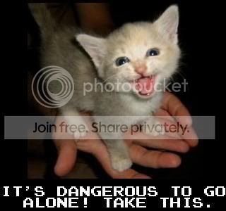 LOLcat.jpg
