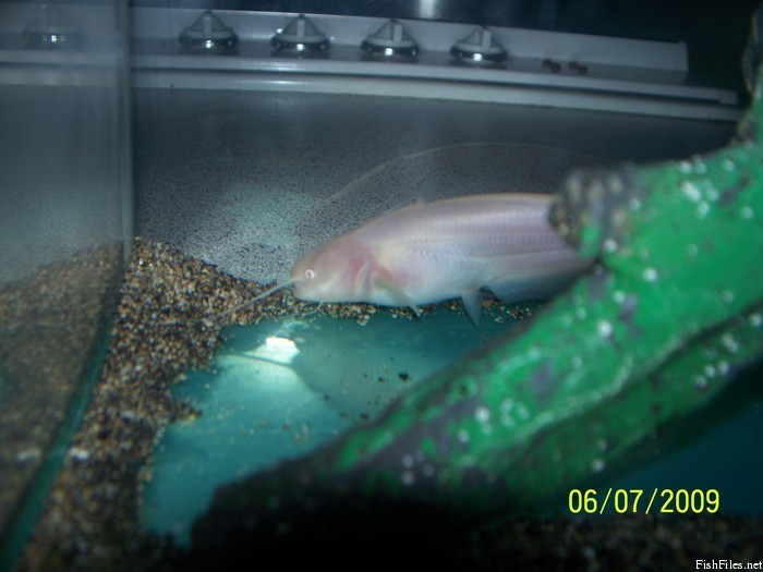 mgjtv6e2_Picture_024.jpg