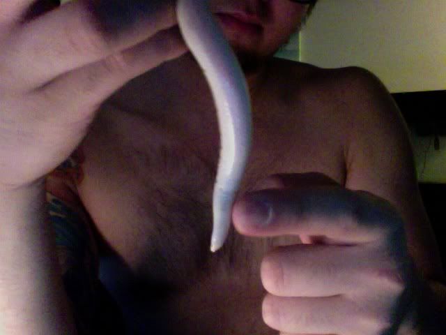 Photo92.jpg