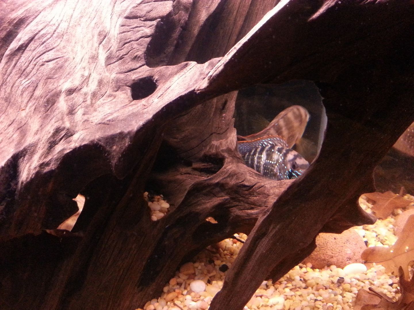 20121207_202547.jpg