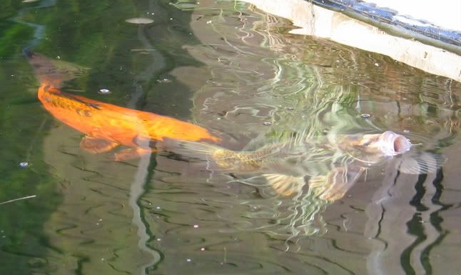 Picture075.jpg