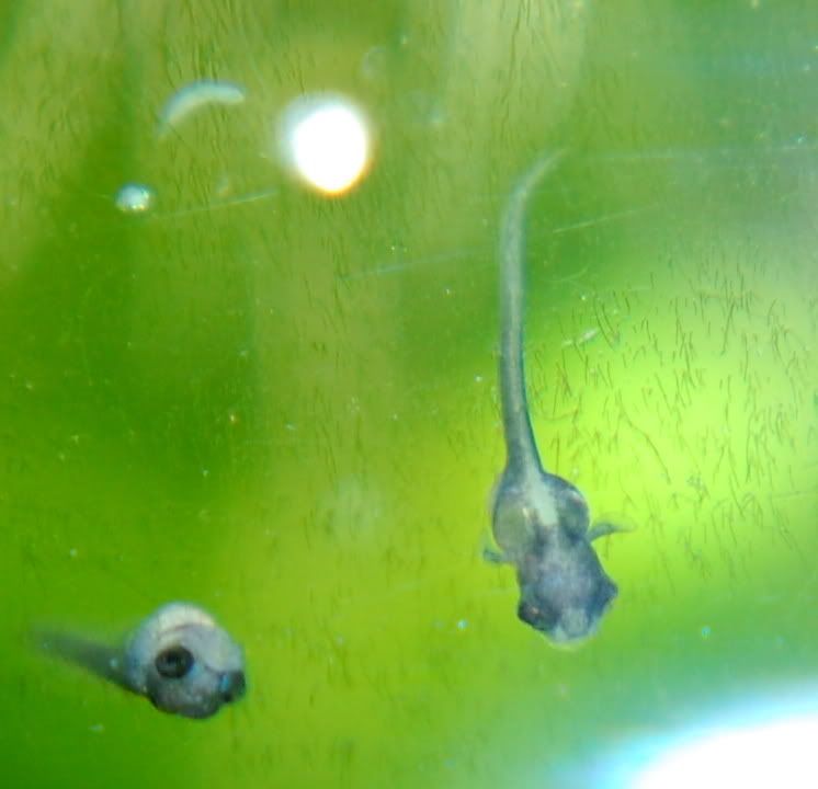 DSC_0314.jpg