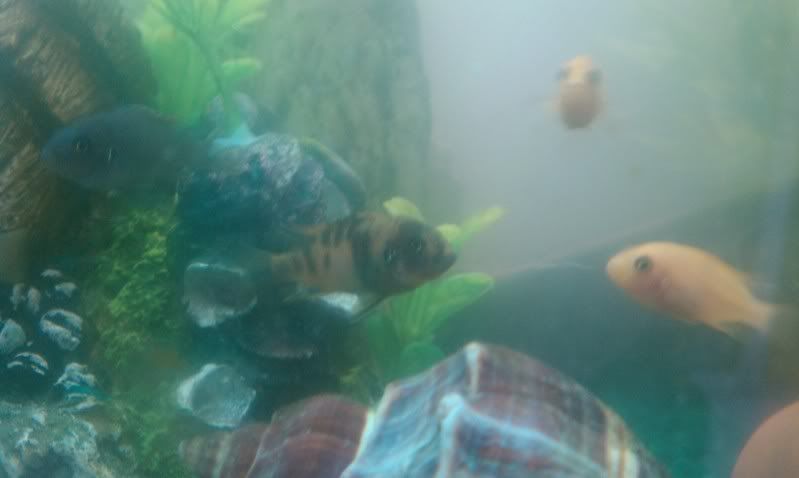 IMAG0434.jpg