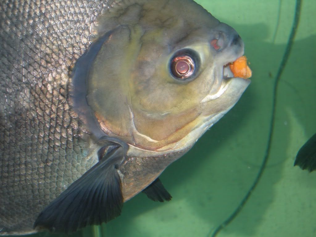 DSCN5767.jpg