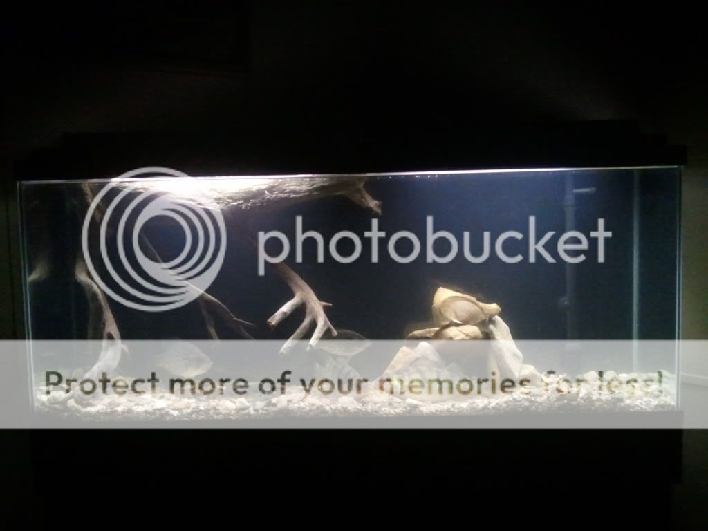 2012-02-19211725.jpg