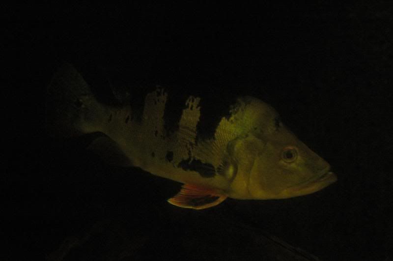 DSC_9584.jpg