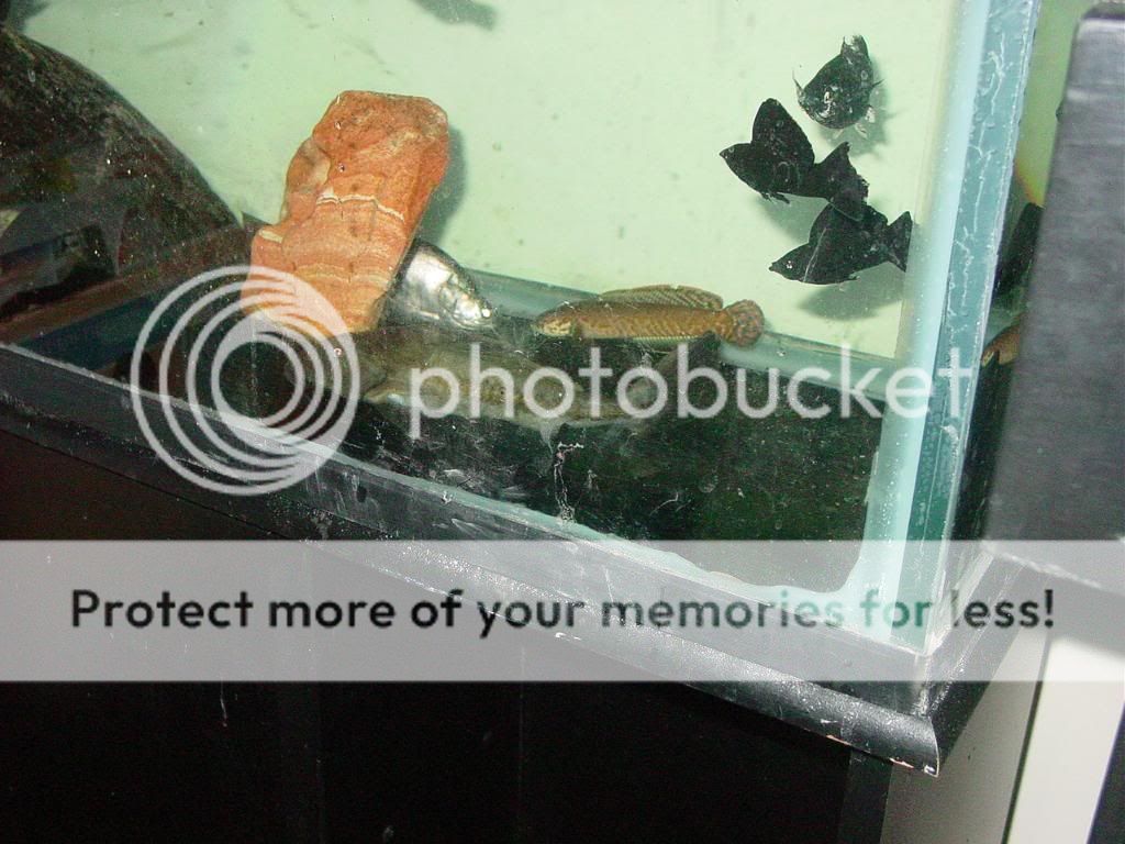 DSC07058.jpg