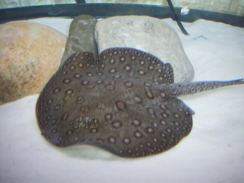 100_2546.jpg