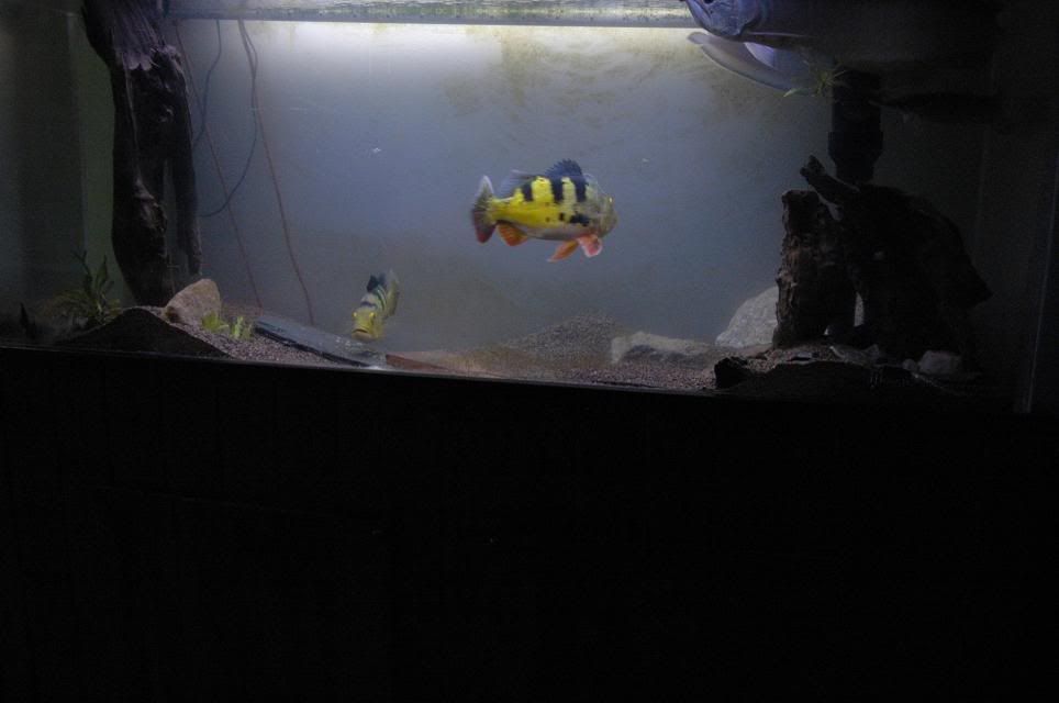 DSC_9693.jpg