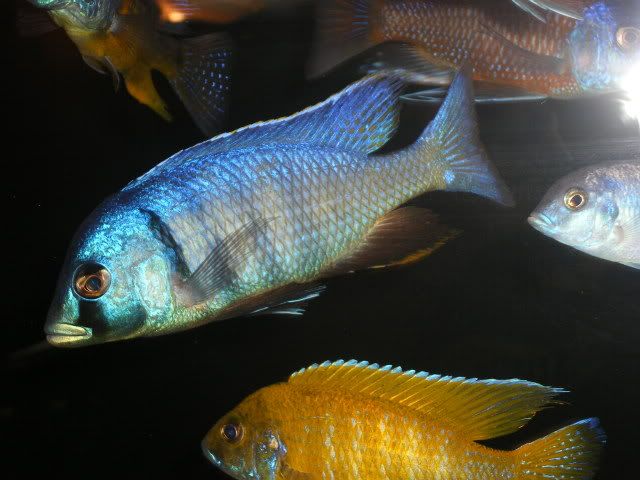 p2.jpg