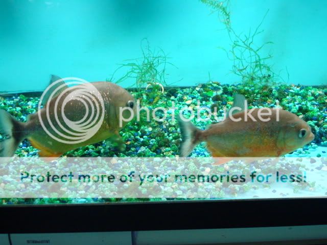 DSC05742.jpg