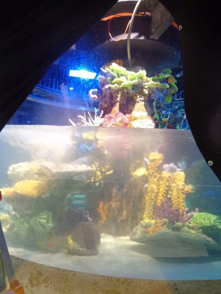 DSC01094.jpg