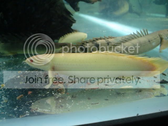 DSC06742.jpg