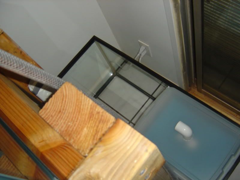 4-28-08002.jpg
