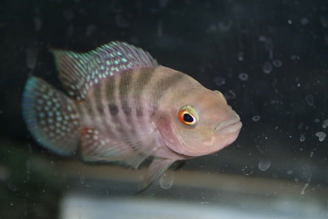 518e7543.jpg