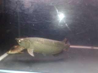 15112008585.jpg