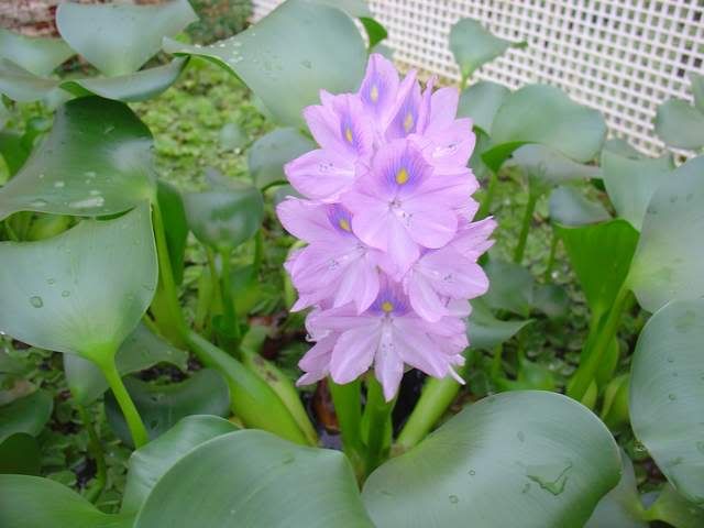 DSC05354.jpg