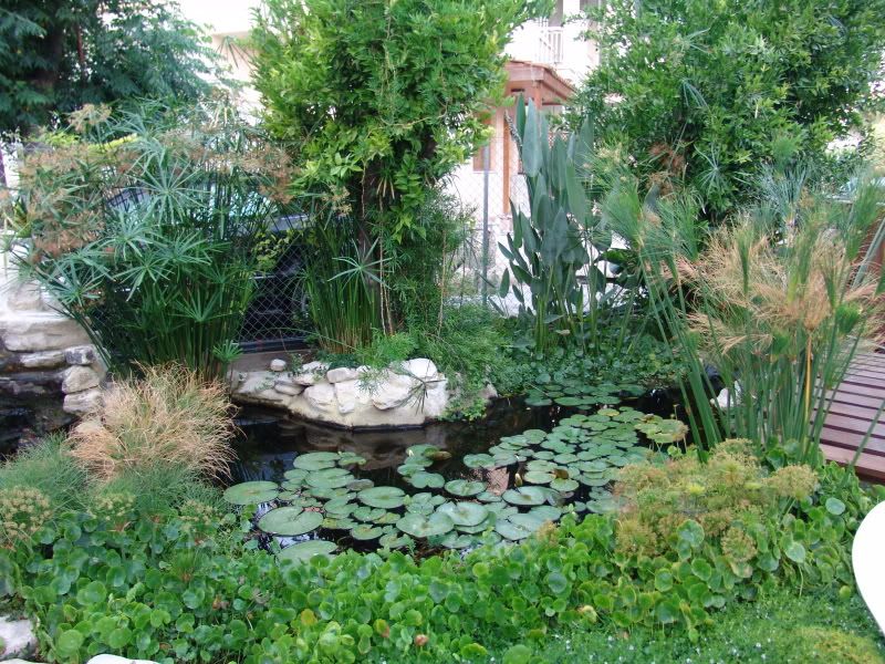 DSC09554.jpg