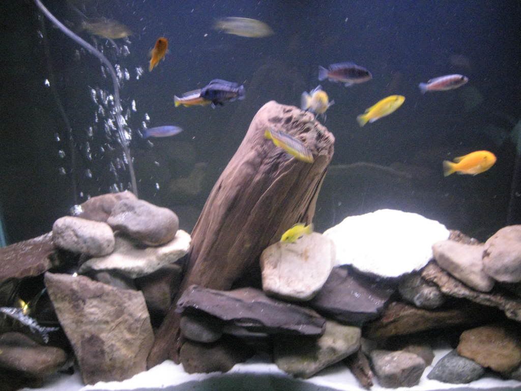 IMG_1184.jpg