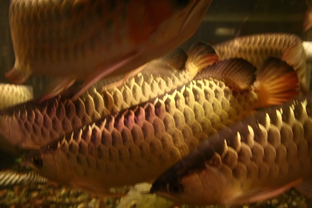 oct09129.jpg