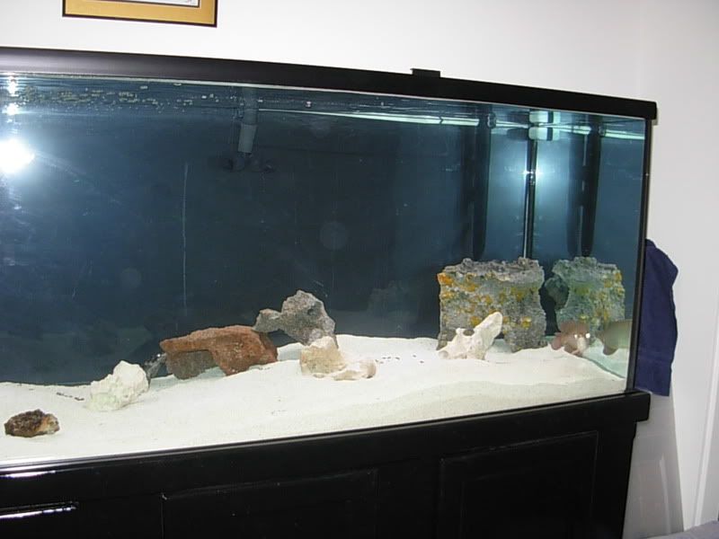 DSCN1260.jpg