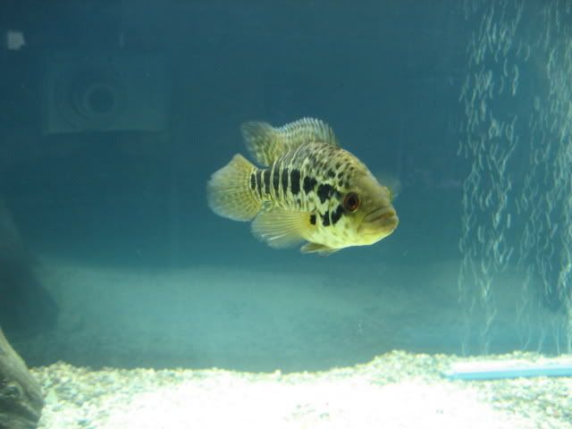 IMG_0057.jpg
