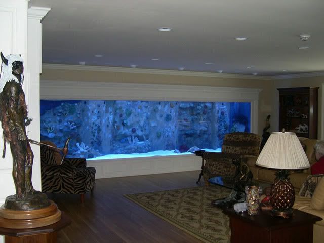 dreamtank-1.jpg