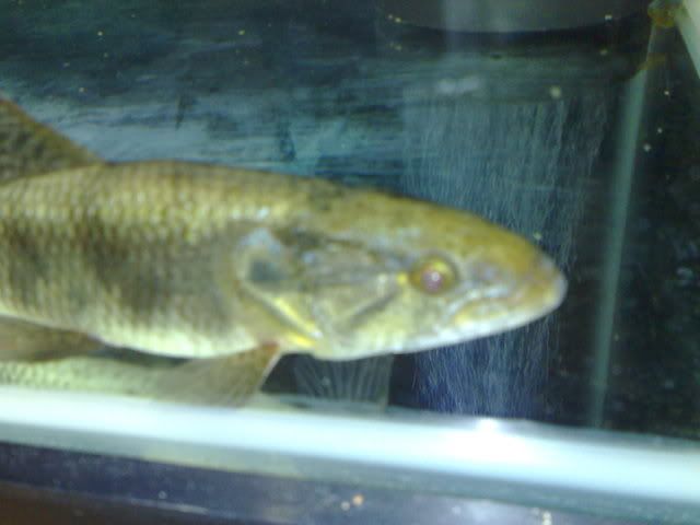04012009671.jpg