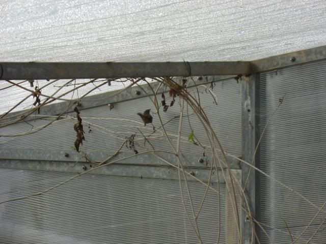 DSC09336.jpg