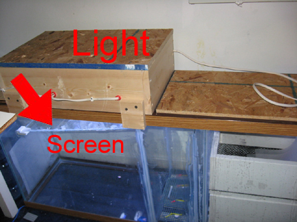 UserCardBoardBoxProcessorOnMFT-1.jpg