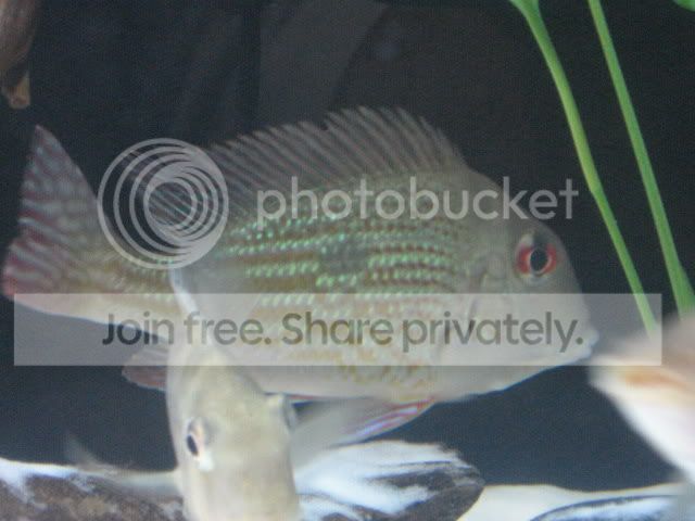 IMG_4981.jpg