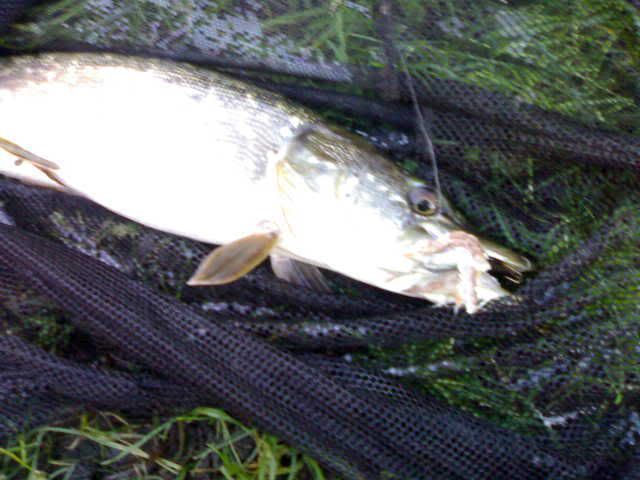 17122006029.jpg